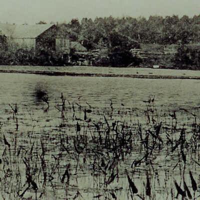 Louis Pitcher mill