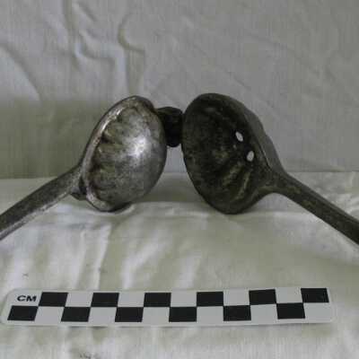 Squeezer, Fruit