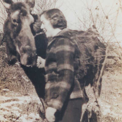 Alice Kennedy and tame moose