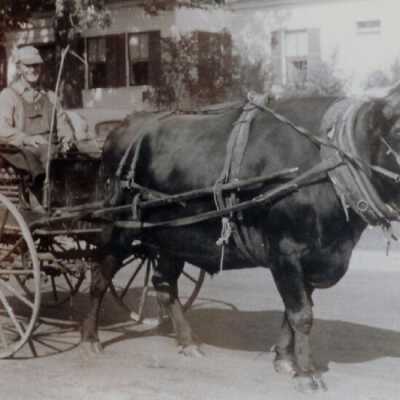 Will Thayer and Bull