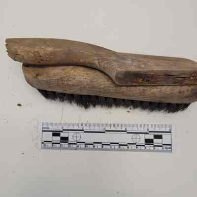 Brush w/handle