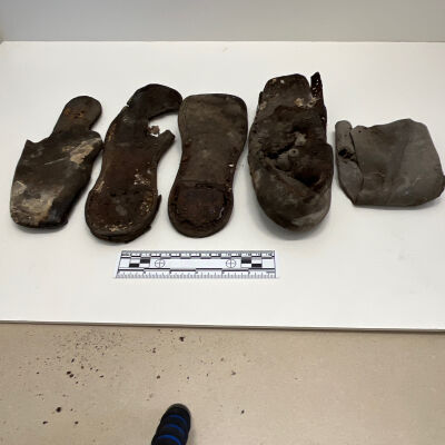 Shoe fragments