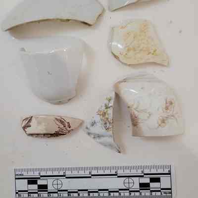 Decorated whiteware