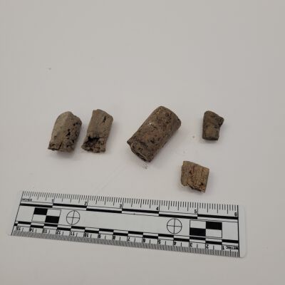 Bottle Corks