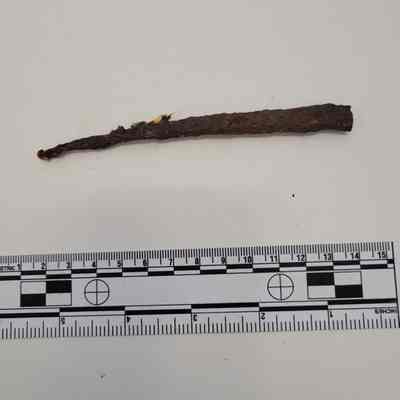 Cut nail