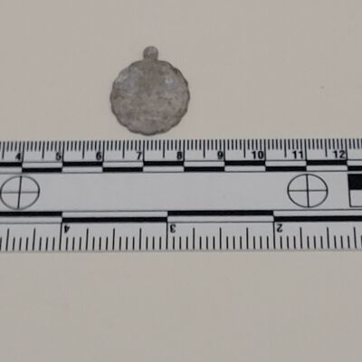 Medallion found in Northwest Bastion