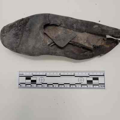 Slipper