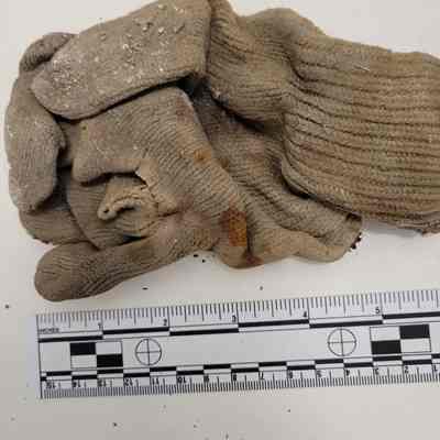 Glove