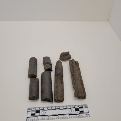 Search Light Carvon Rods