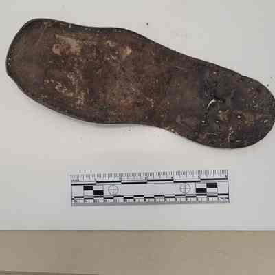 Shoe sole