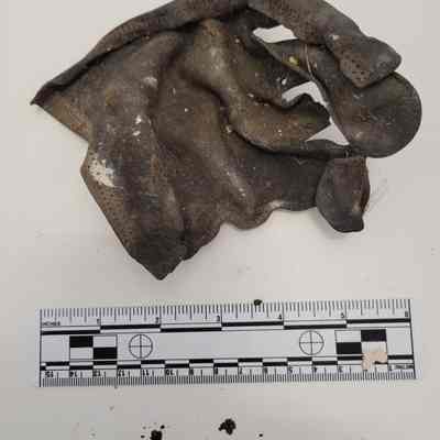 Leather glove
