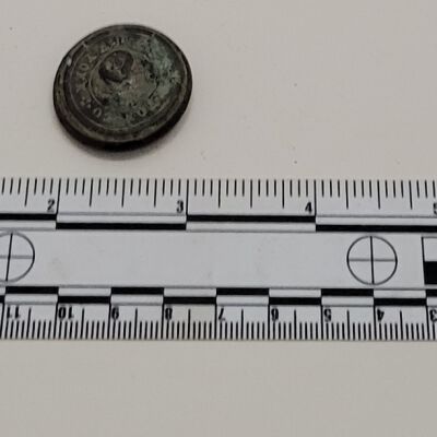 Military button back