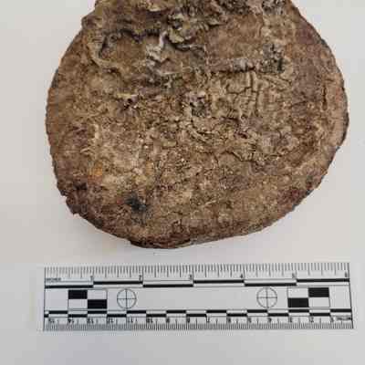 Artifact