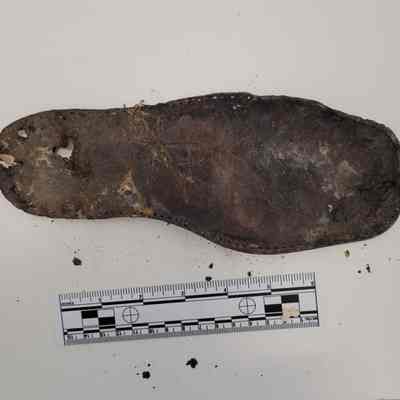 Shoe sole
