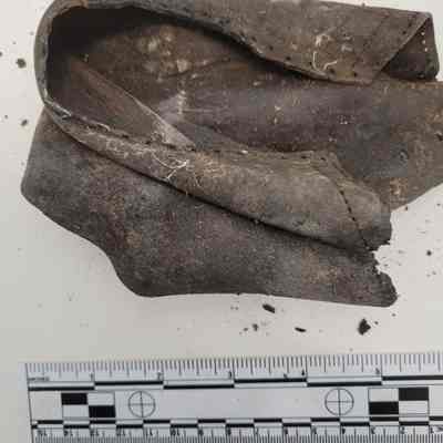 Shoe form