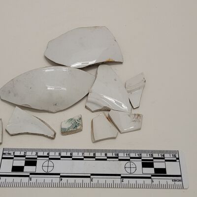Dish pieces from SE Tenaille