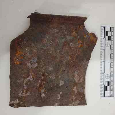 Metal plate