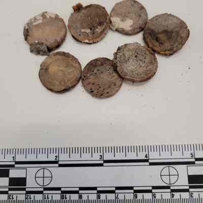 Coins