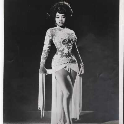 Photo - Miss Topsy B&W, beaded gown with fringe for skirt