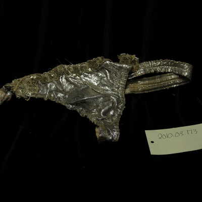 Costume - thong silver, silver sequins