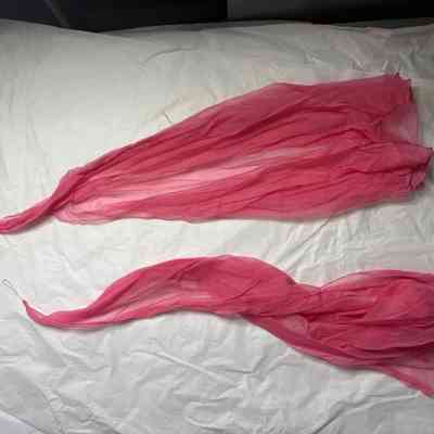 Costume - Sheer panels - Liz Renay