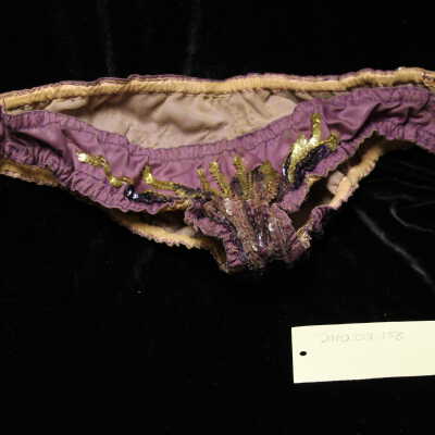 Costume - Panty Purple, purple& gold sequin