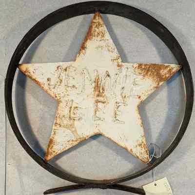 Jennie Lee star