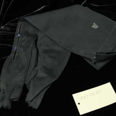 Costume: gloves, black fingerless & sheer