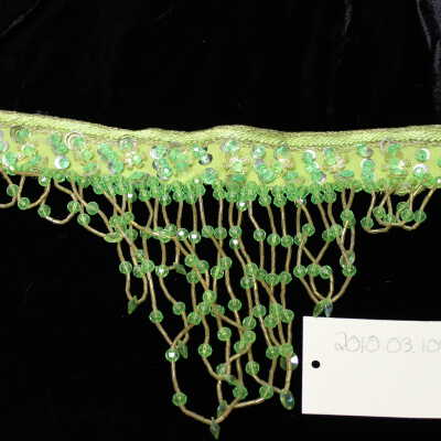 Costume - neck piece sequins & beading - Sherri Champagne