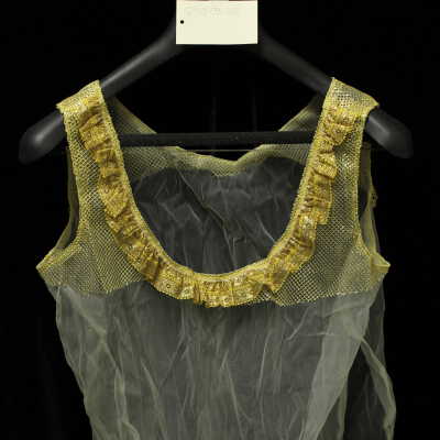 Costume - cami-cream mesh w/ lace & mesh gold trim