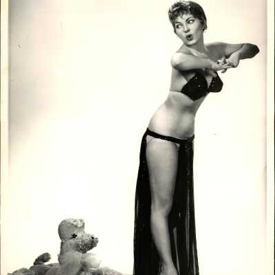 Photo - Stunning Smith-B&W-Sequined Bra-Stuffed Dog-High Heels