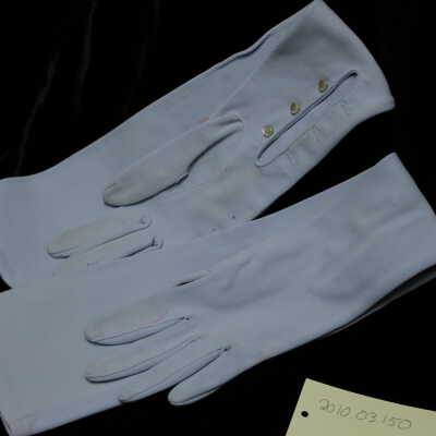 Costume - Gloves blue elbow length w/ pearl buttons