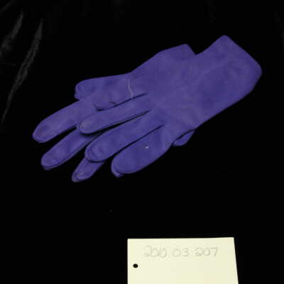 costume - gloves blue wrist length