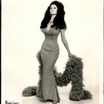 Photo - Tempest Storm-gown, boa. Maurice Seymour . Belkin Personal Managment-front