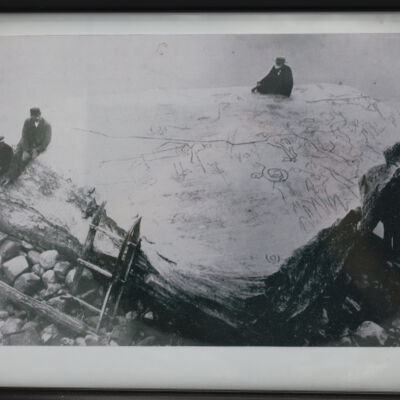 Photo of Inscription Rock