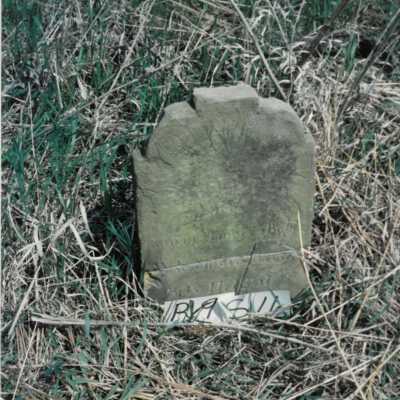 Son of Whitmore (ca. 1846 - 1851)