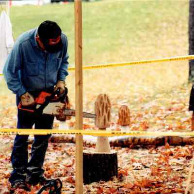 Carving Morels