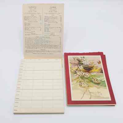 Canasta Score Sheets