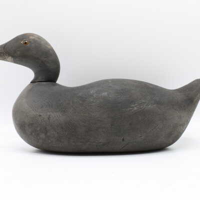 Coot Decoy