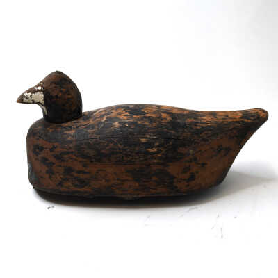 Decoy, Coot