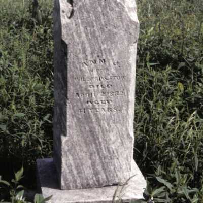 Ann J. Stowe (ca.1841 - 1882)
