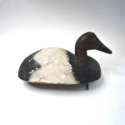 Decoy, Cavasback (Drake), Ed Driscoll