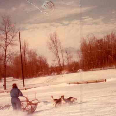 Dashing Through The Snow