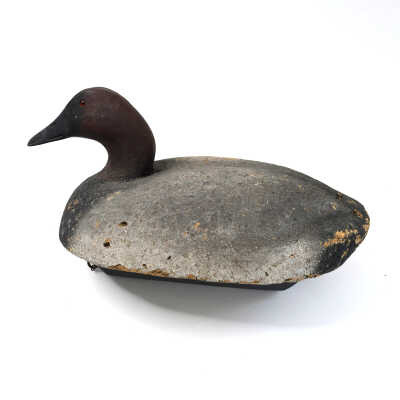 Decoy, Canvasback (Drake), John Sharon