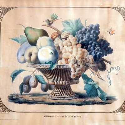 Fruit Bowl Lithograph