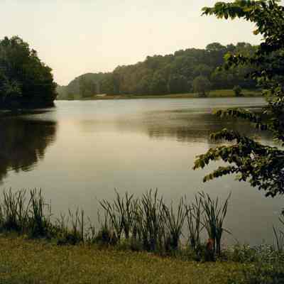 Summer At Mt. Gilead State Park
