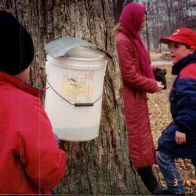 Maple Syrup Bucket