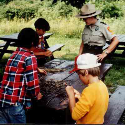 Educational Program With Grass