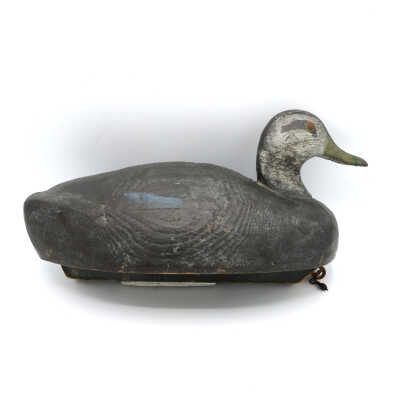 Decoy, Black Duck (Hen), Jack Rider