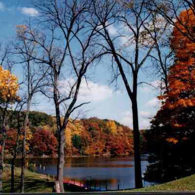 Dam In Autumn